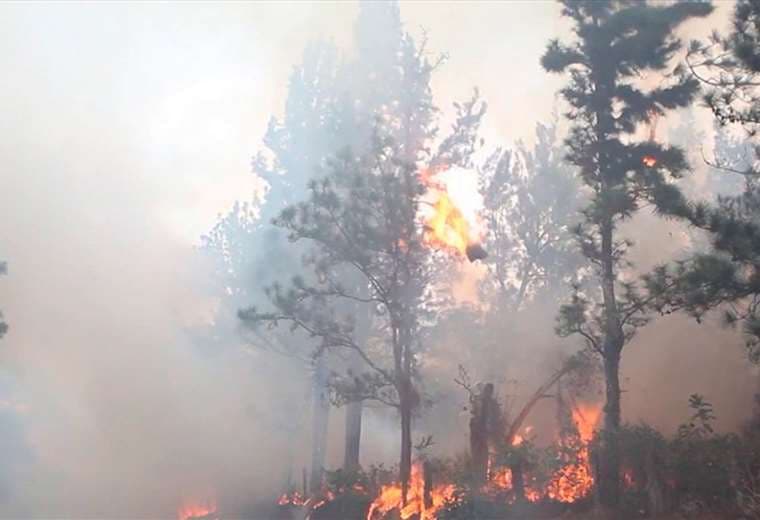 Este viernes inicia la temporada de incendios forestales 2021