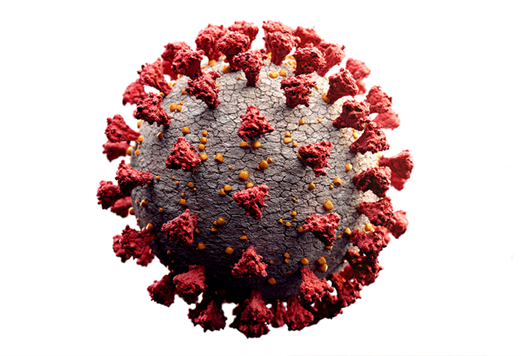 Cómo fue identificado el primer virus de la historia