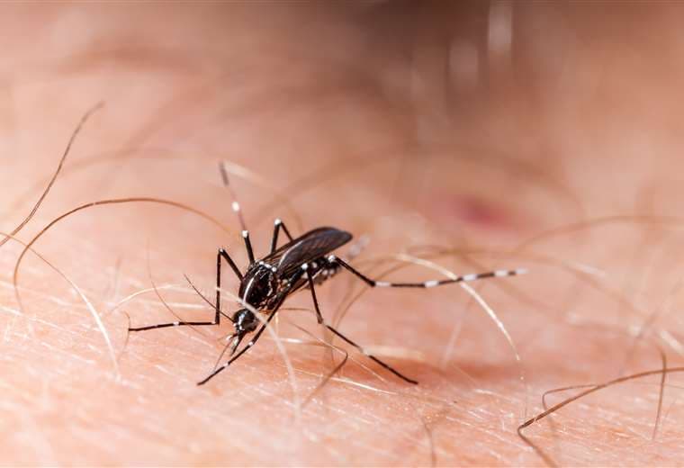 Salud confirma dos casos nuevos de dengue tipo 4