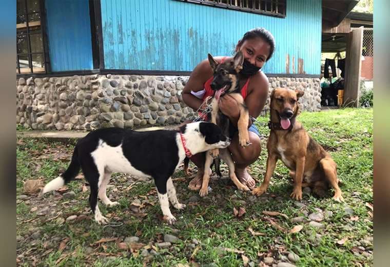 ANPA: “Costa Rica va por muy buen camino en bienestar animal”