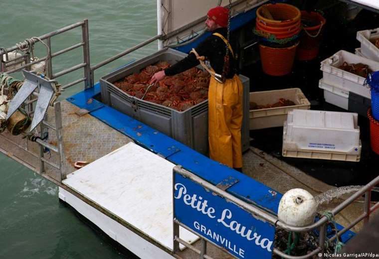 Reino Unido concede 23 licencias de pesca a la UE