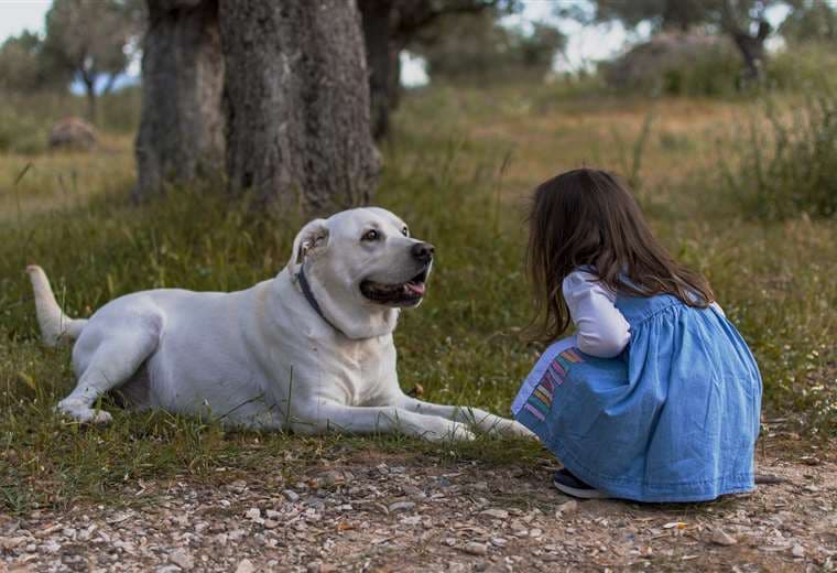 Los ataques de perros a niños se pueden evitar con estos consejos