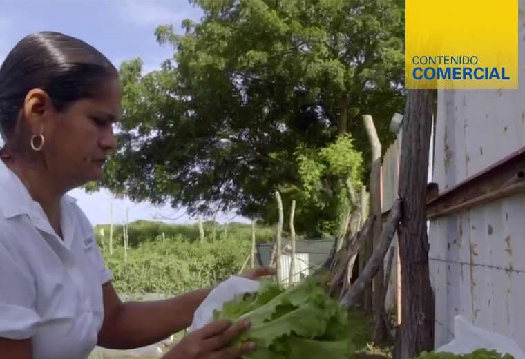 "Huertas Caseras": una segunda oportunidad para las familias guanacastecas
