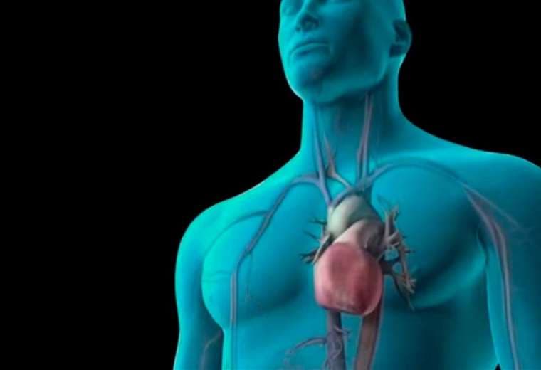 ¿Qué es un cateterismo cardíaco?