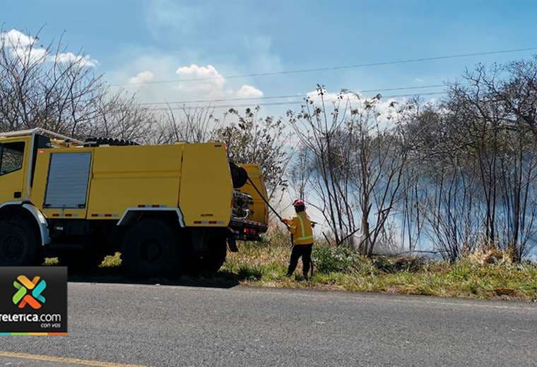 Bomberos forestales combaten el primer incendio de la temporada
