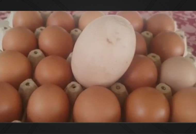 ¿Qué tiene que ver el COVID-19 con el aumento en el precio del huevo?