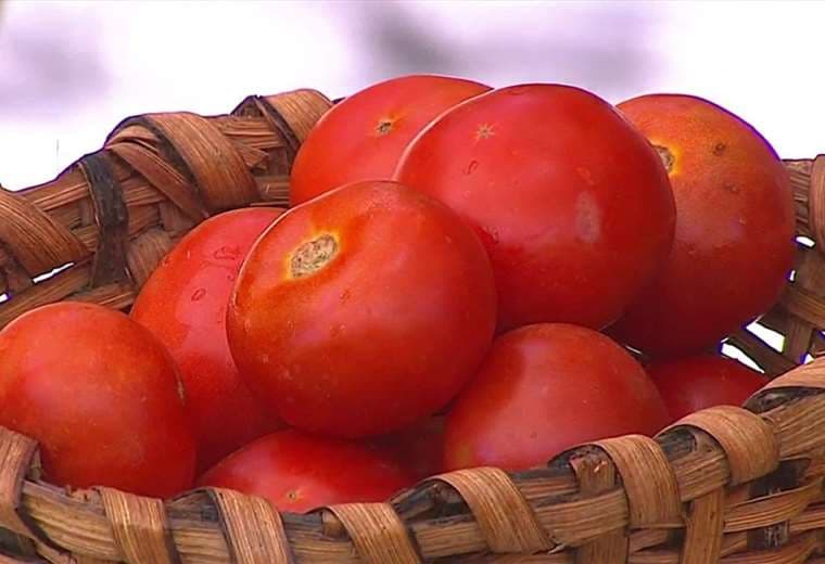 Conozca los beneficios del tomate
