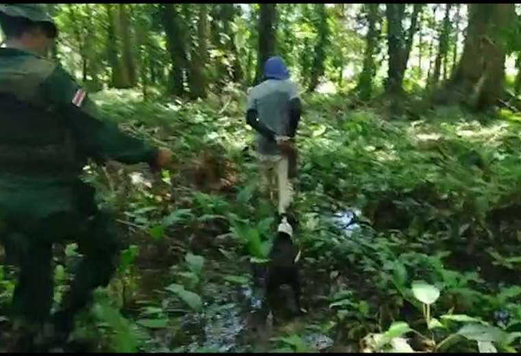 Supuesto cazador es detenido con un arma y perros en área protegida de Limón
