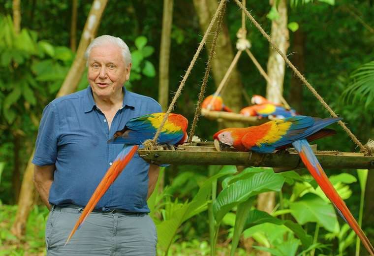 Famoso naturalista estrenará en Netflix documental grabado en Costa Rica