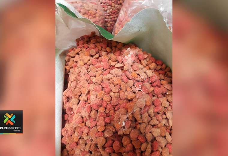 Animalistas denuncian que Municipalidad de Heredia donó alimento "podrido"