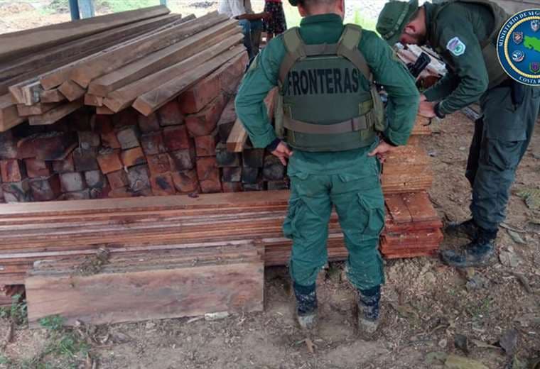Autoridades han decomisado más de 28 mil pulgadas de madera ilegal en Talamanca