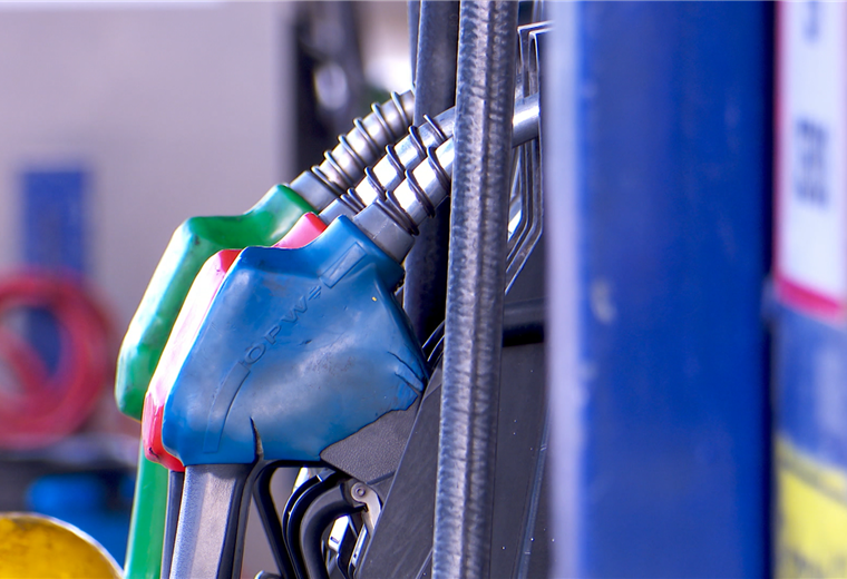 Economista propone "diluir" aumentos en el precio de combustibles para mitigar alza mundial