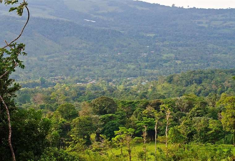 Costa Rica entre finalistas a premio medioambiental creado por el príncipe Guillermo
