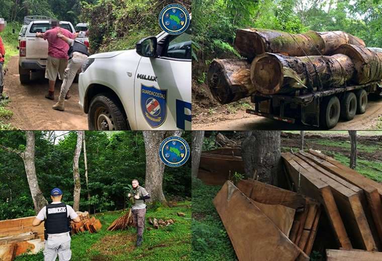 Tres detenidos por supuesta tala ilegal de madera valorada en ₡12 millones