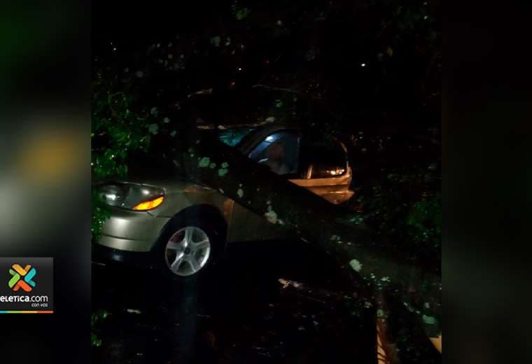 Árbol cae sobre carro, quiebra poste y manda a dos personas al hospital