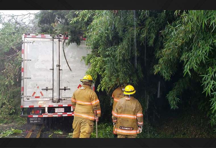 Fuertes vientos provocan caída de árbol sobre camión en Alajuela