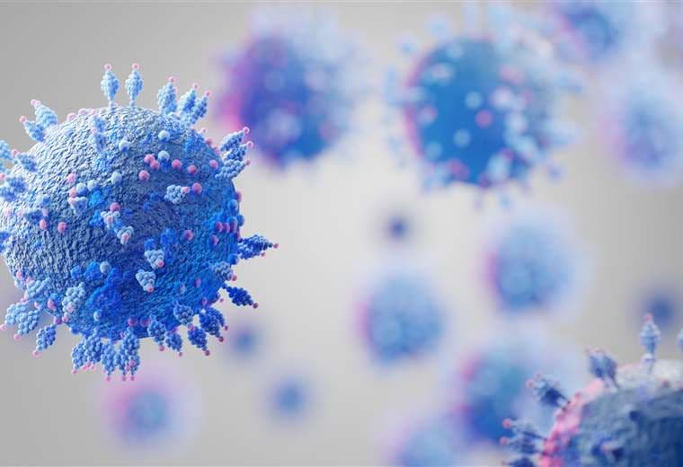 Ómicron: esto es lo que se sabe sobre la nueva variante del coronavirus
