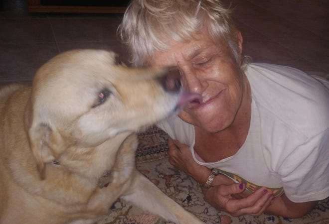 Mujer de 74 años salva a su perro saltando sobre un caimán en Florida