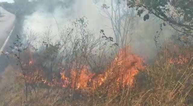 Video: Incendio forestal amenaza el Parque Nacional Santa Rosa
