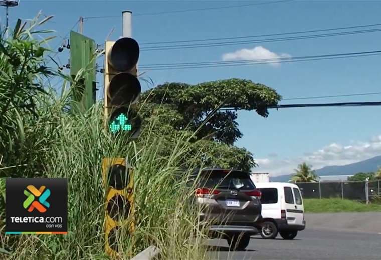 Belén: Zacate alto no permite ver señales de tránsito, denuncian conductores