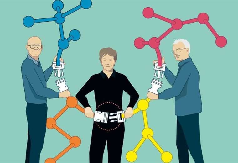 Premio Nobel de Química 2022: te explicamos en qué consiste la química "Lego" 