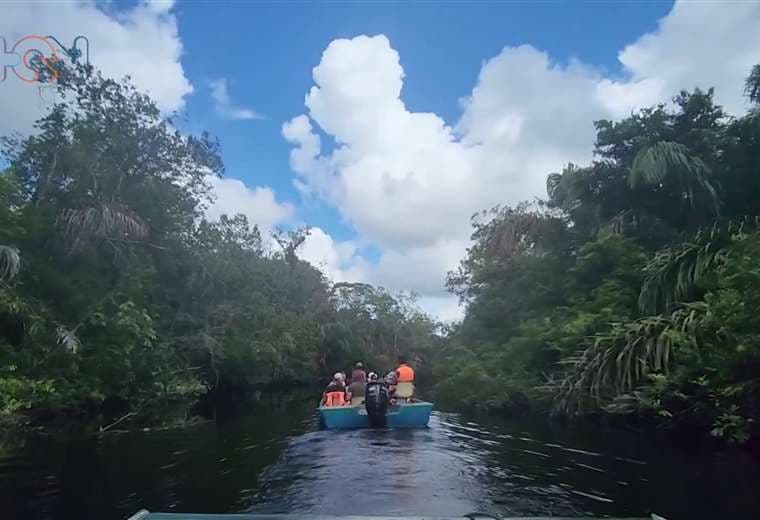 Canales de Tortuguero: Un viaje por el Amazonas de Costa Rica