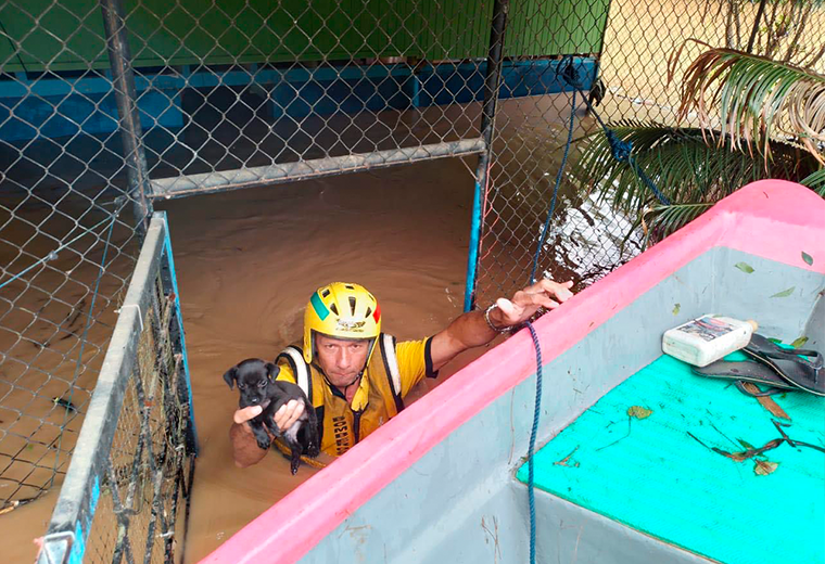 La historia detrás de una fotografía viral en medio de las inundaciones por Julia