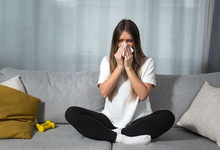 ¿Cuáles son las alergias más comunes durante esta época del año?