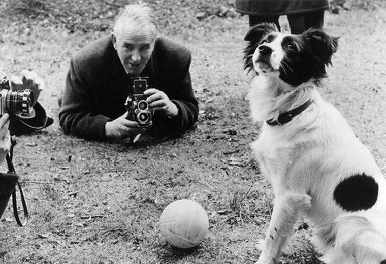 La curiosa historia del perro que salvó la Copa del Mundo en 1966