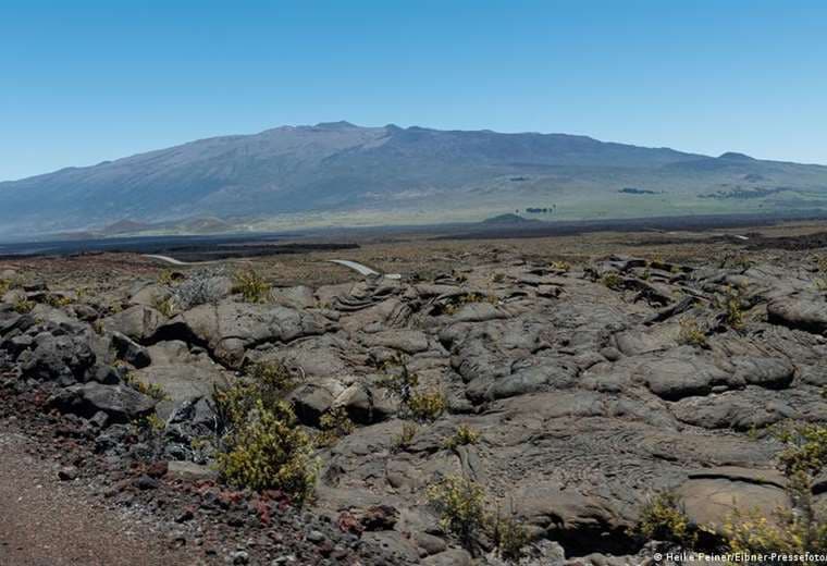 Detectan intensa actividad sísmica en torno al volcán Mauna Loa