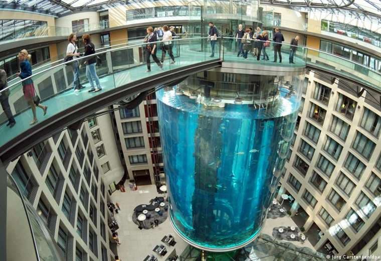 Lo que se sabe de la explosión del acuario en Berlín con 1.500 peces exóticos