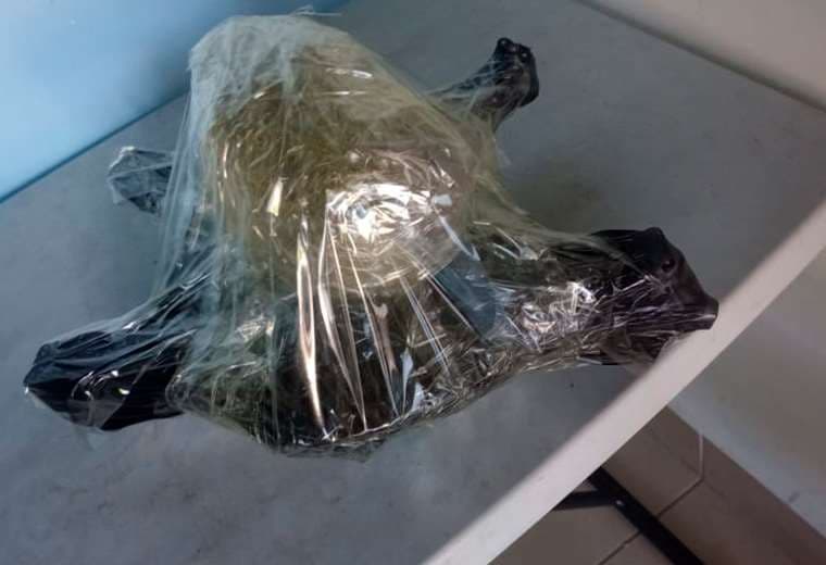 Dron con droga es hallado por la policía en San Rafael de Alajuela