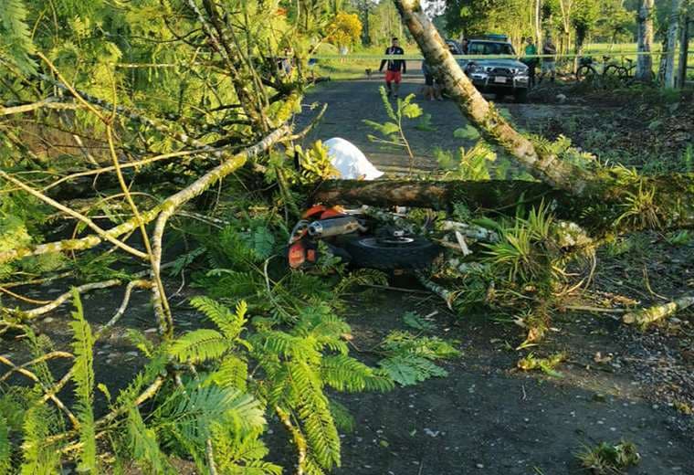 Motociclista muere tras caerle árbol en Pococí