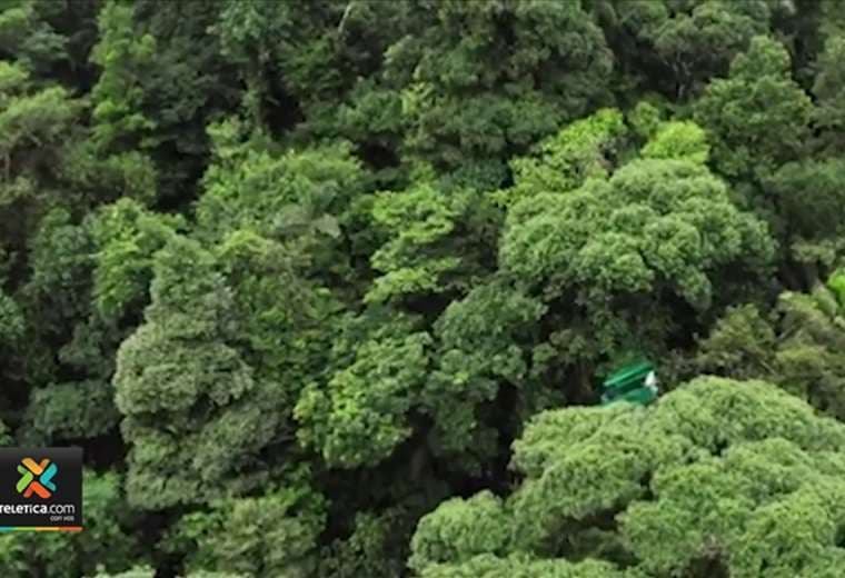 Bosques del Braulio Carrillo dan vida a serie documental de la BBC