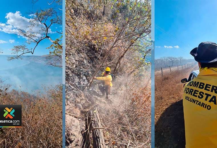 Bomberos luchan contra incendio forestal que ha quemado más de 50 hectáreas