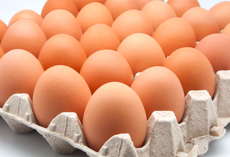 Cámara de Avicultores advierte sobre posible aumento en precio de huevos y pollo