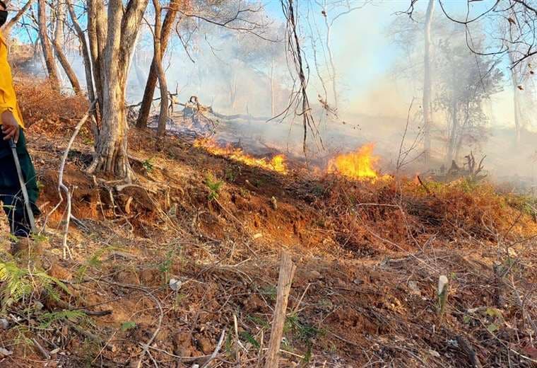 Tras varios días de lucha, solo un incendio forestal queda activo en Guanacaste