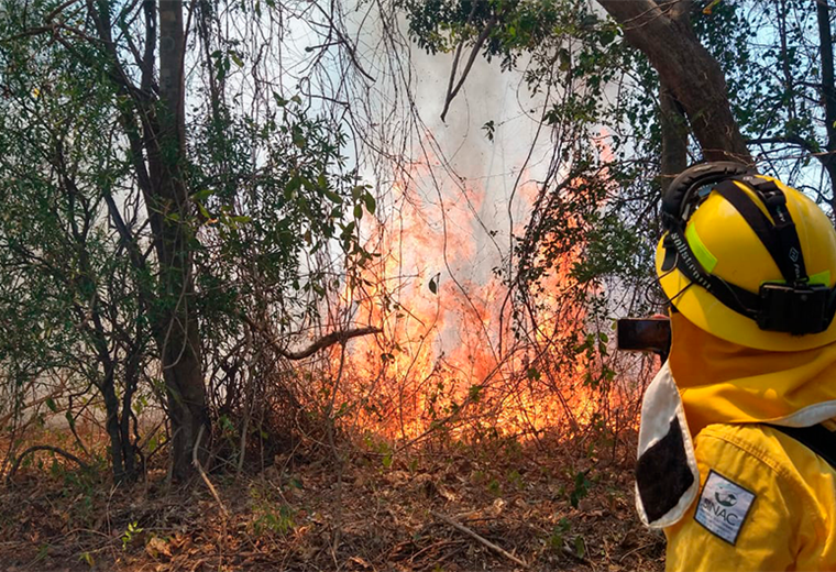 Viento y altas temperaturas: los retos de los bomberos forestales en Guanacaste