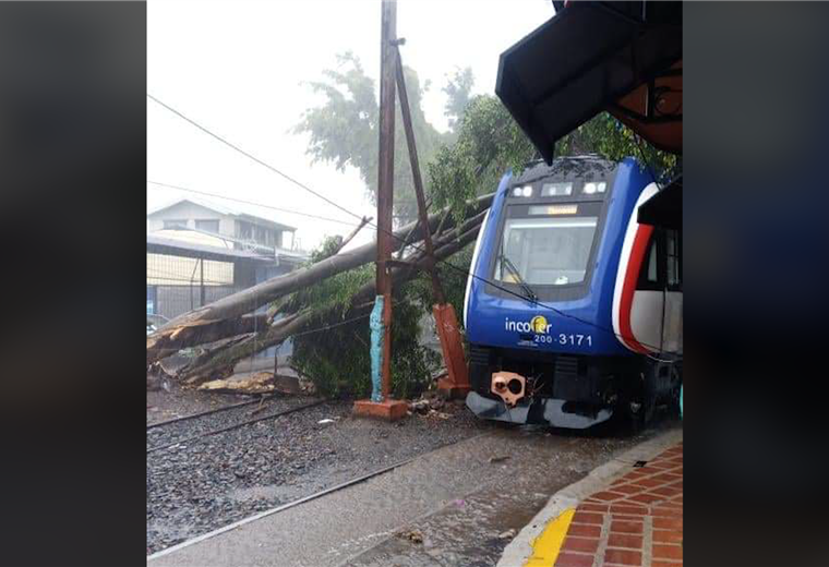 Incofer suspende el servicio hacia Cartago y Heredia por caída de árbol sobre tren