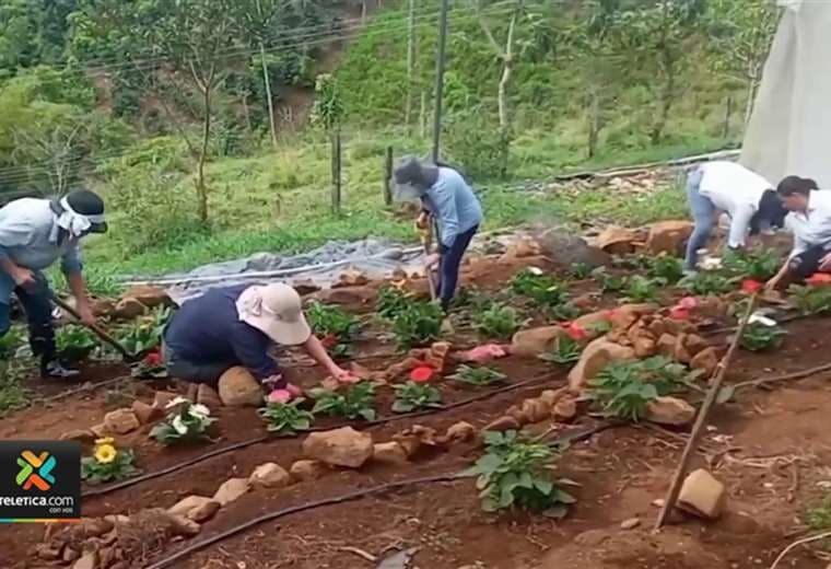 Mujeres cultivan flores comestibles en faldas del Cerro Chirripó