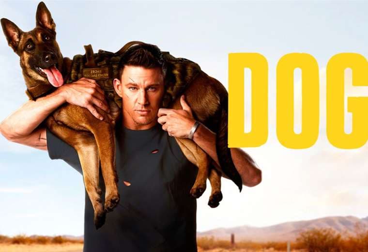 "Dog, un viaje salvaje" se estrena en los cines del país