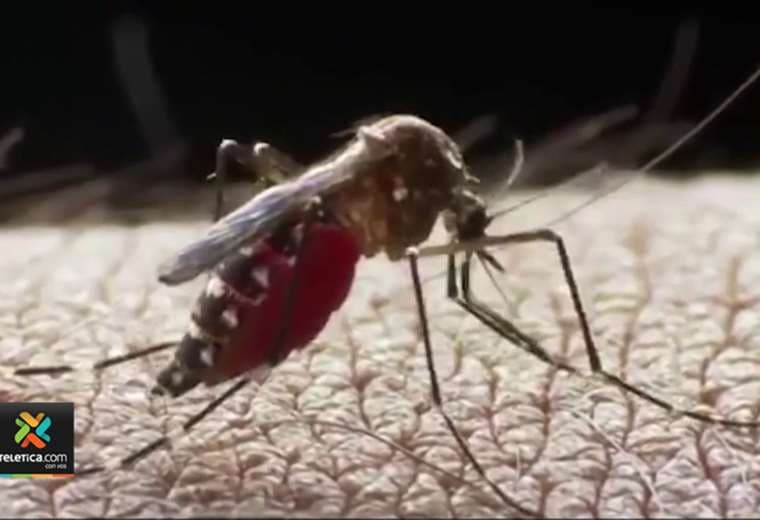 Autoridades de salud se preparan para posible brote de dengue en Costa Rica