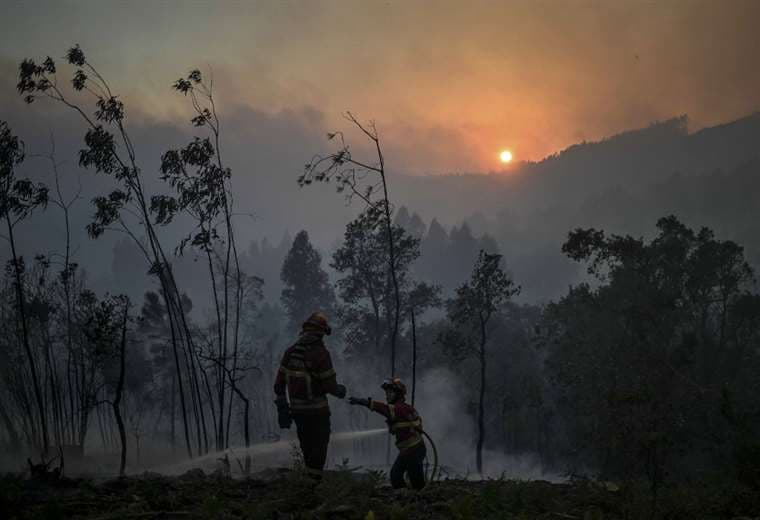 Portugal batalla contra incendios forestales en fin de semana de altas temperaturas