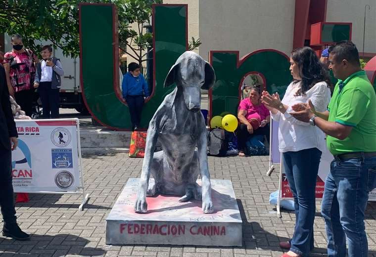 Escultura de perro desnutrido y maltratado busca generar conciencia entre romeros