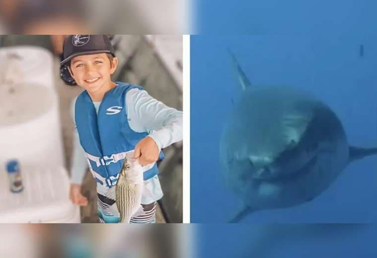 Niño perdió parte de una pierna tras ataque de tiburón en Florida