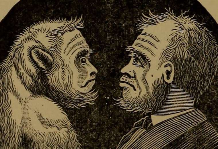 El polémico experimento soviético para crear hombres mono promovido por el gobierno de Stalin
