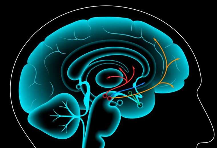 Ayuno de dopamina: cómo se beneficia tu cerebro cuando te abstienes del exceso de placer