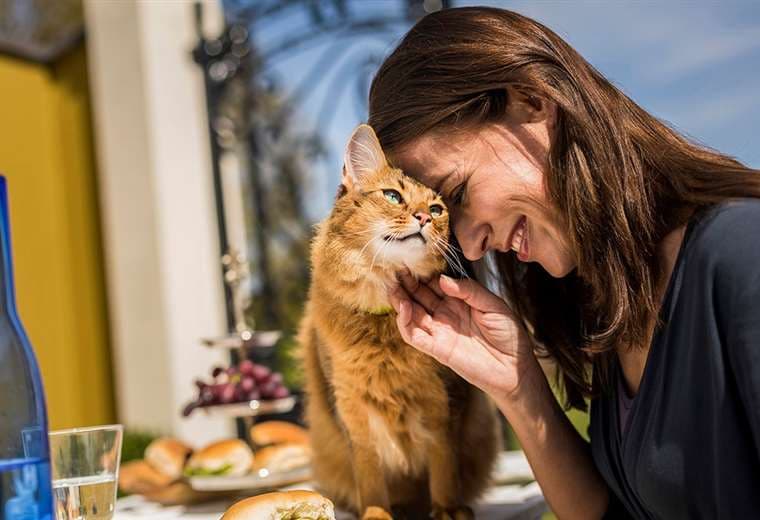 'National Geographic' lanza “12 semanas”, historias reales sobre el cuidado de mascotas