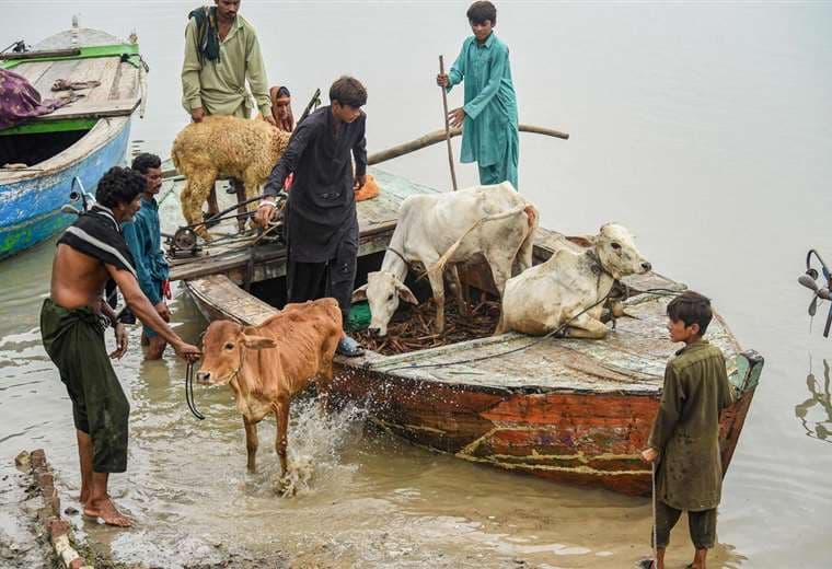 Pakistán reporta más de mil muertes por inundaciones