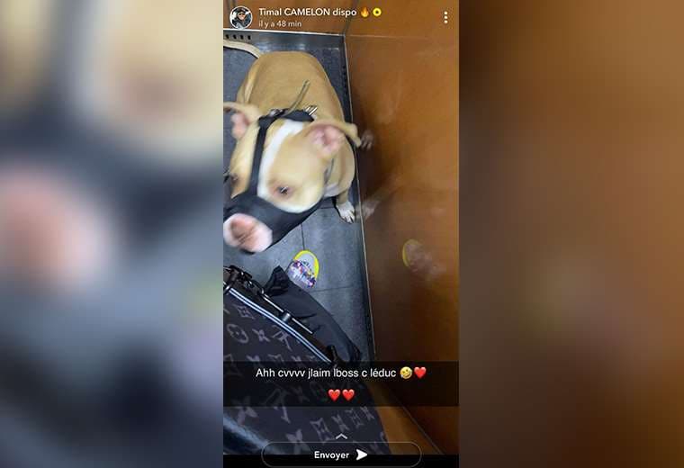 Detienen a rapero en Francia por golpear su perro y subirlo a Snapchat